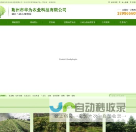 荆州市华为农业科技有限公司