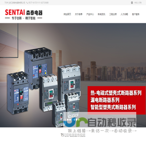 TSV4_浙江森泰电器有限公司